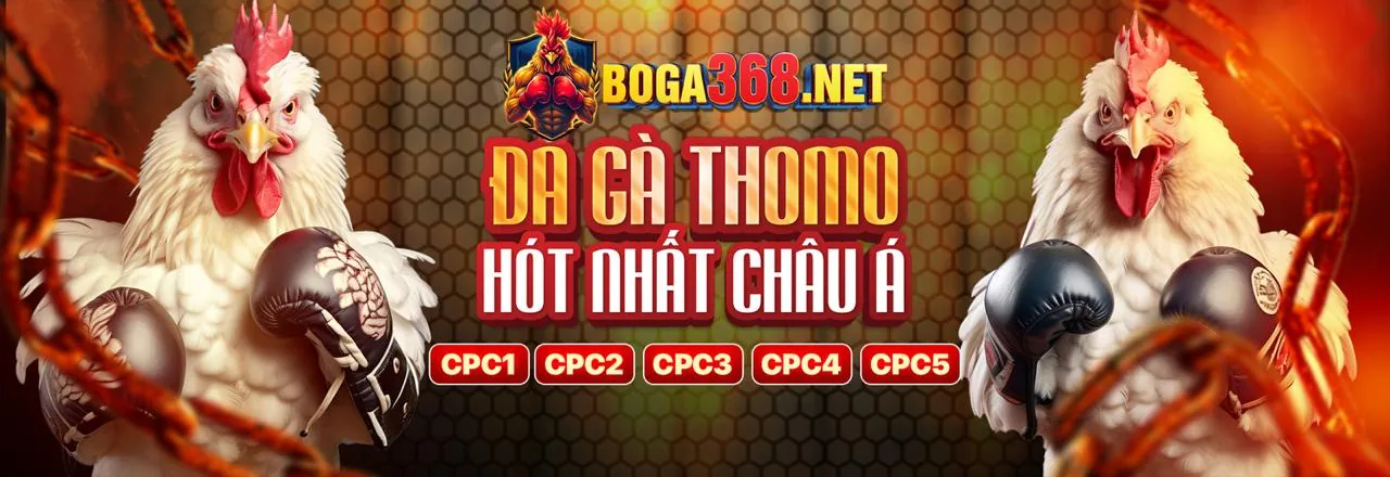 Đá Gà Trực Tuyến Fa8bet